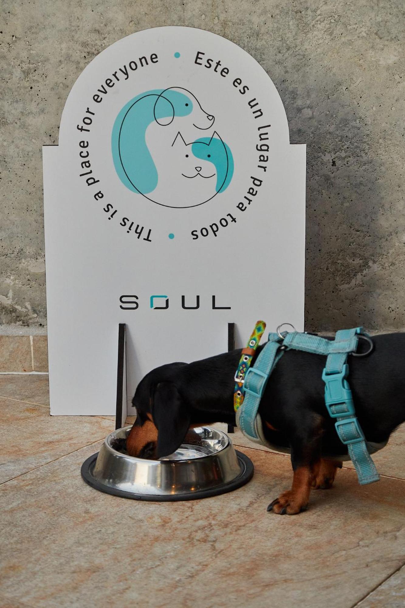 Soul Lifestyle Hotel Medellin Ngoại thất bức ảnh